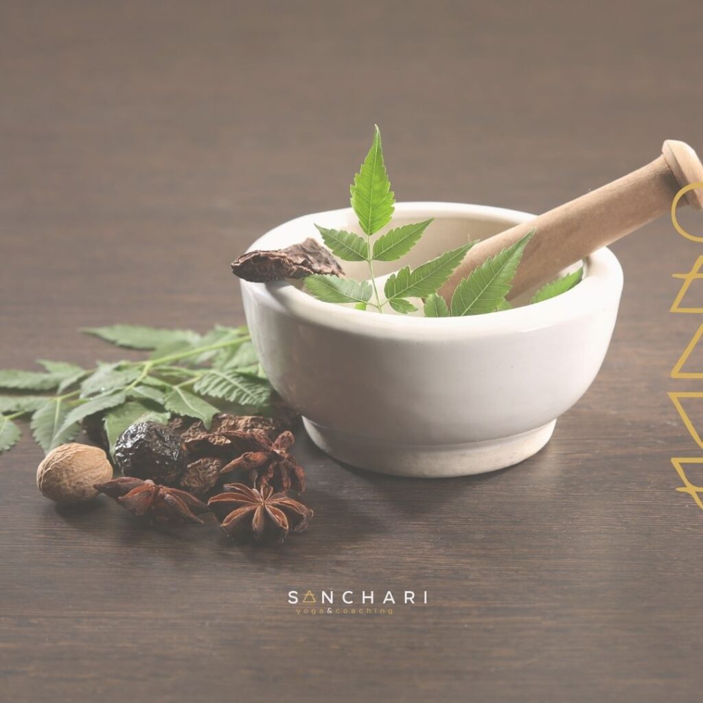 Ayurveda praktisch toepassen: kruiden en Ingredienten die vaak gebruikt worden in ayurveda